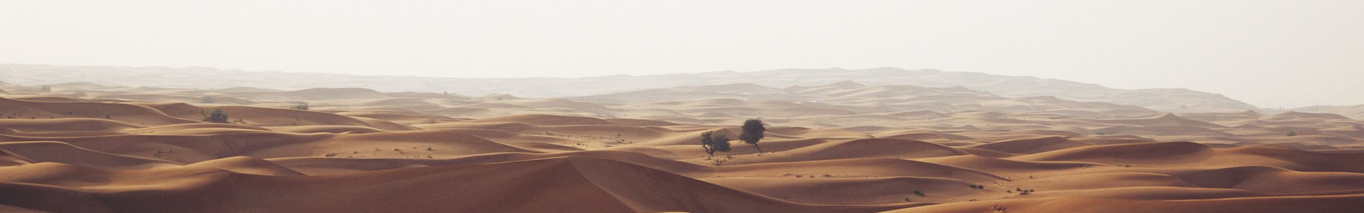 -ܼ޹˾